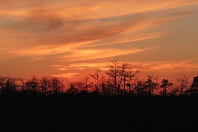 4-hour-swamp-buggy-adventure-tour-in-florida