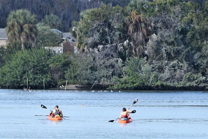 4-hour-tandem-kayak-rental-for-two-people-in-crystal-river-florida