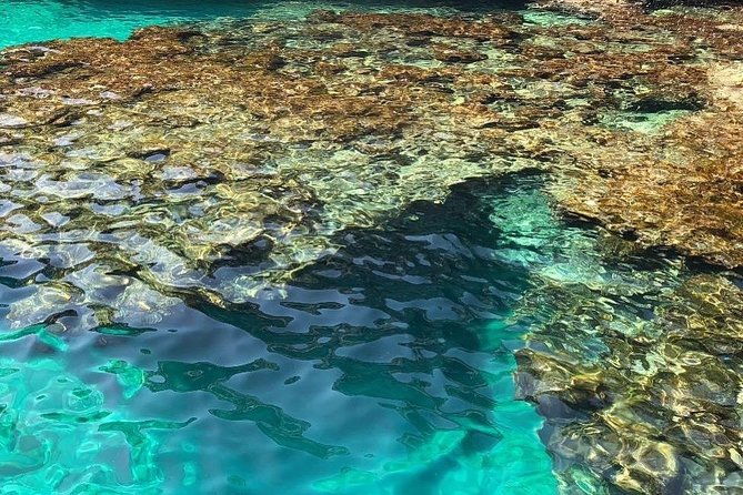 4-hour-tour-visiting-all-the-caves-swimming-stops-and-aperitif