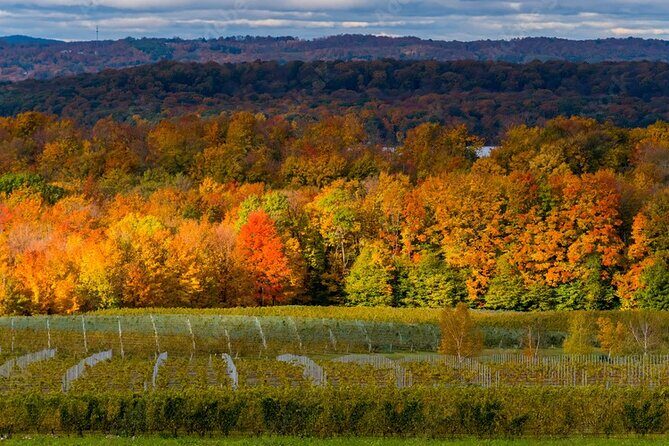 4-Hour Traverse City Sunset Wine Tour: 3 Wineries on Old Mission Peninsula - The Experience in Detail