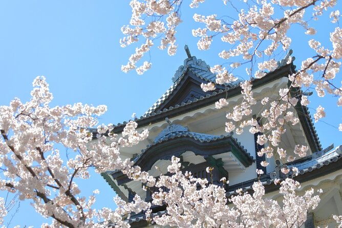 4-hour-unique-kanazawa-cherry-blossom-sakura-private-experience