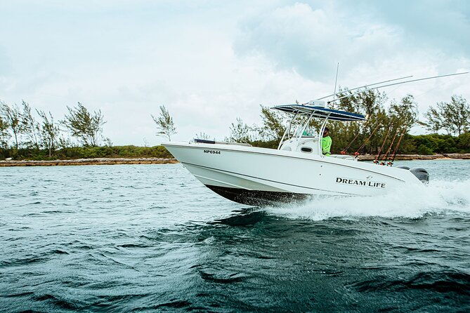 4-hours-27ft-dream-life-private-charter-in-nassau