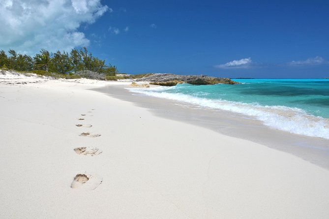 4-hours-38ft-reel-dreams-private-charter-in-nassau