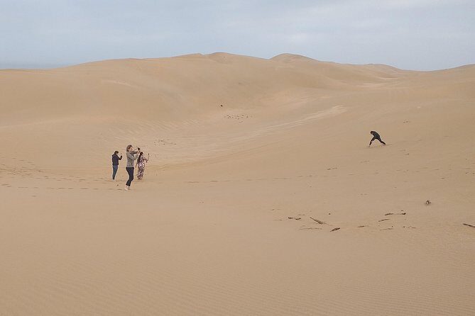 4 hours.Agadir : Trip to Sahara and tifnit fishing village - Why This Tour Works Well