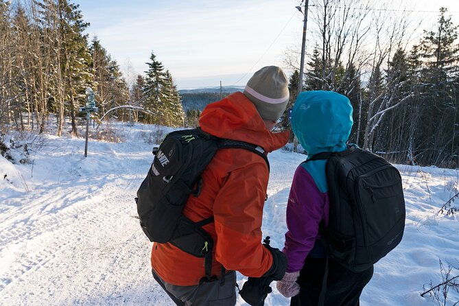 4-hours-best-view-of-the-oslofjord-winter-edition-2