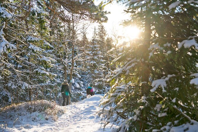 4-hours-best-view-of-the-oslofjord-winter-edition