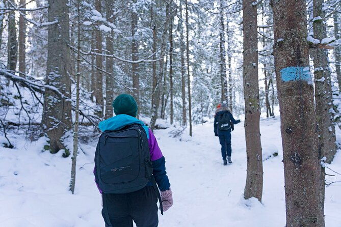 4-hours-best-view-of-the-oslofjord-winter-edition