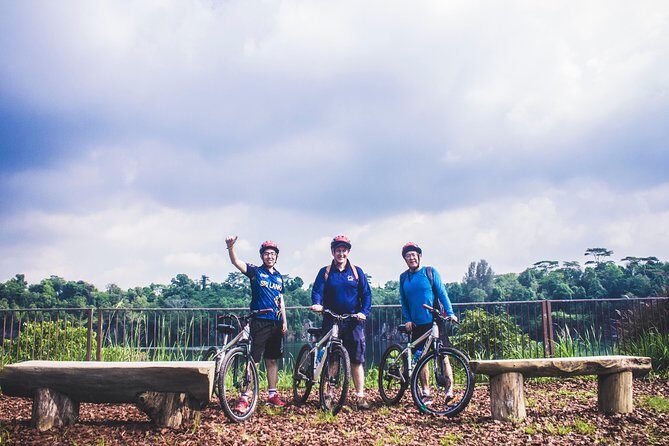 4 Hours Cycling in the Nature at Pulau Ubin Singapore - Final Thoughts: Is This Tour Right for You?