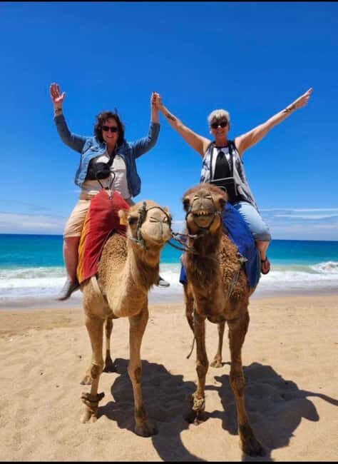 4 Hours Deluxe Guided Tour of Tangier + A tour with camels - Key Points