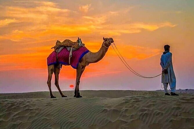 4 Hours Desert Safari - An In-Depth Look at the 4-Hour Desert Safari
