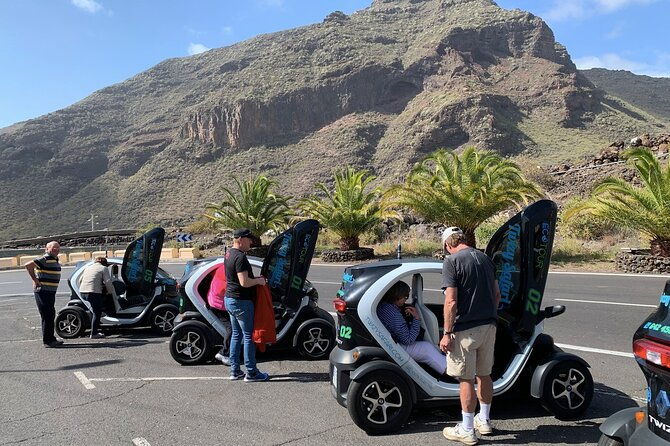 4-hours-eco-safari-tour-with-electric-car-in-tenerife