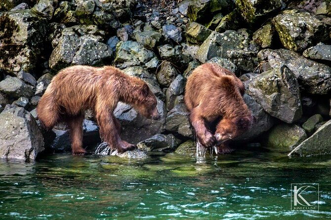 4-hours-haines-chilkoot-wilderness-and-wildlife-tour