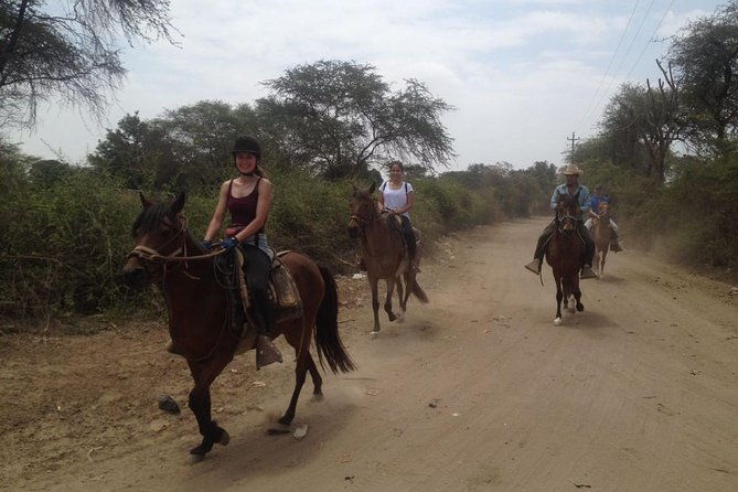 4-hours-horse-riding-inca-pyramids-in-worlds-largest-dry-forest