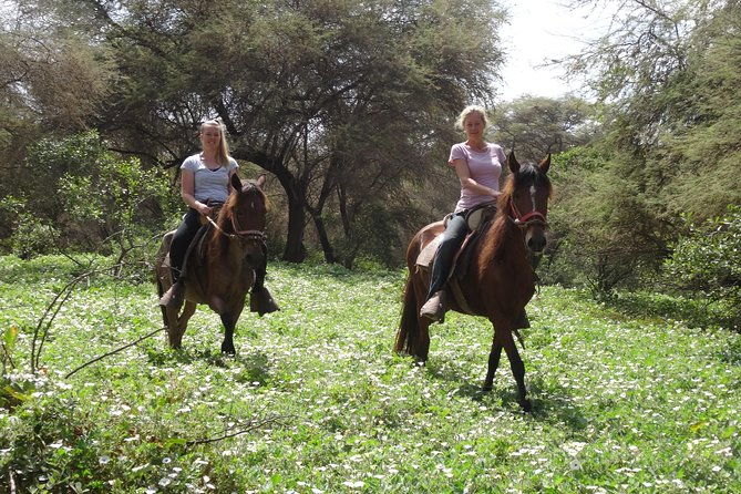 4-hours-horse-riding-inca-pyramids-in-worlds-largest-dry-forest