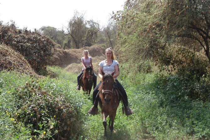 4-hours-horse-riding-inca-pyramids-in-worlds-largest-dry-forest