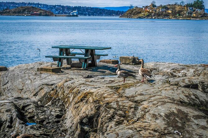 4-hours-island-hopping-tour-in-oslo