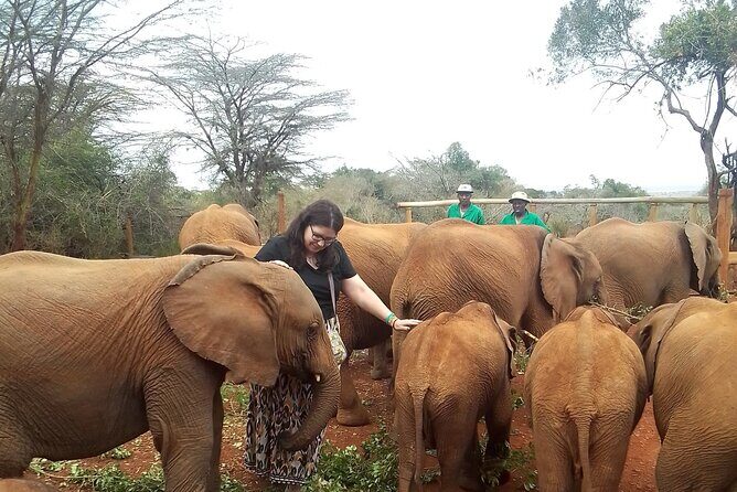 4 hours Nairobi National Park - Authenticity and Review Highlights