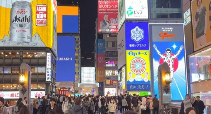 4-hours-osaka-half-day-drive-cruising-city-tour-1-pax-up