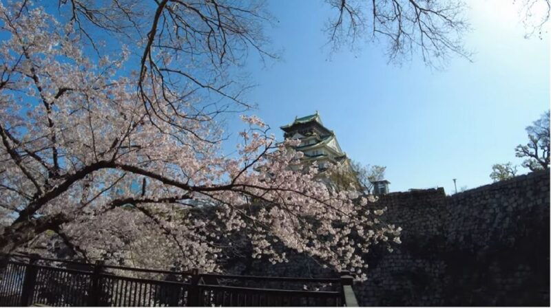 4-hours-osaka-half-day-drive-cruising-city-tour-1-pax-up