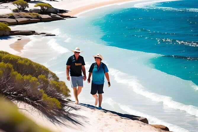 4 Hours Perth City Highlights with Private Chauffeured Tour - An In-Depth Look at the Tour Itinerary