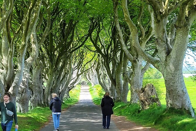 4-hours-private-belfast-city-tours