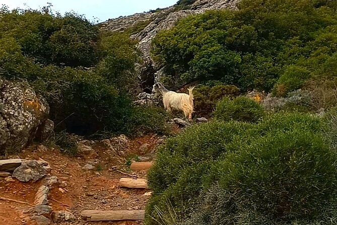 4-hours-private-hiking-on-the-strouboulas-mountain-heraklion