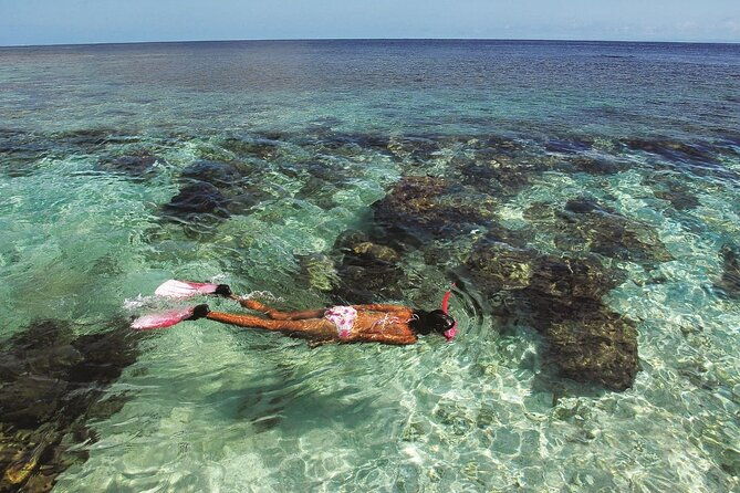 4-hours-private-tour-with-snorkel-experience-in-roatan