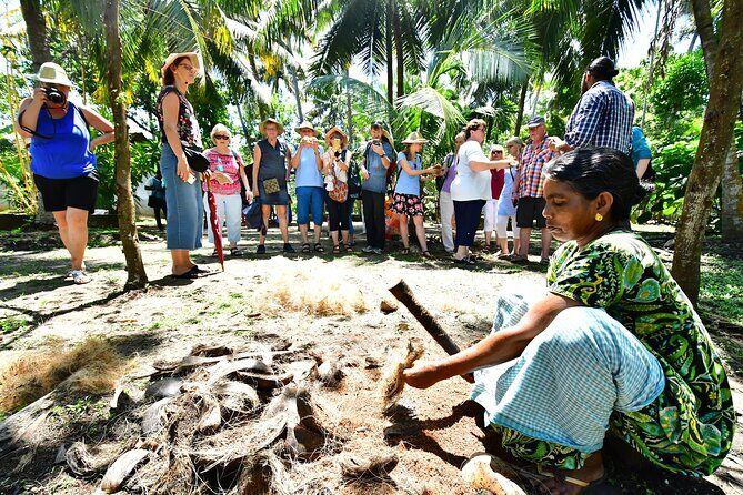 4 Hours Private Village Life Experience in Kochi with Pickup - Final Thoughts: Is This Tour Worth It?