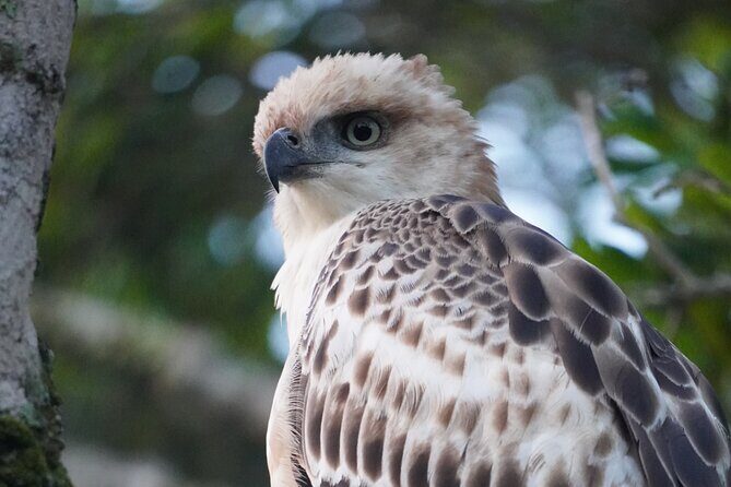 4 Hours Private Yala Safari Day Tour - Final Thoughts