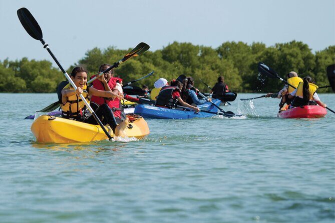 4 Hours Purple Island Mangroves Kayaking Adventure in Qatar - A Look at the 4 Hours Purple Island Mangroves Kayaking Adventure in Qatar