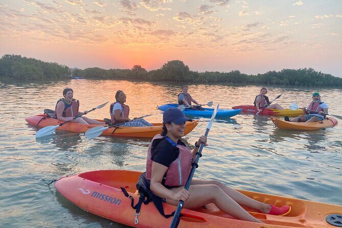 4 Hours Purple Island Mangroves Kayaking Adventure in Qatar - Key Points