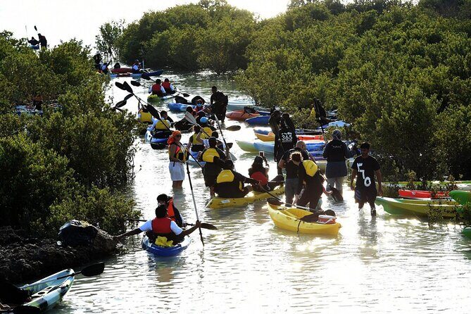 4 Hours Purple Island Mangroves Kayaking Adventure in Qatar - Frequently Asked Questions
