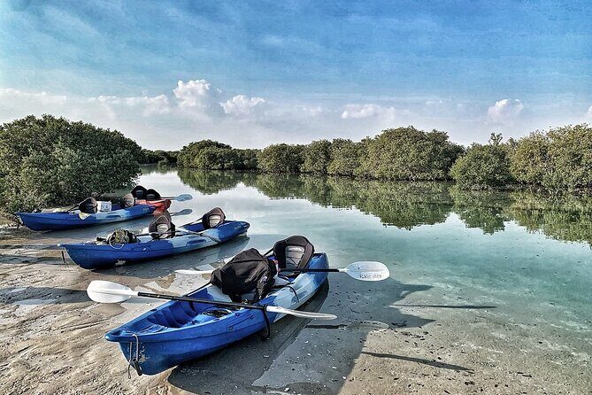 4 Hours Purple Island Mangroves Kayaking Adventure in Qatar - Final Thoughts