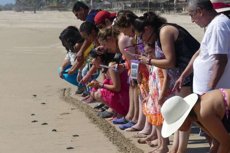 4-hours-shore-excursion-with-cruise-ship-terminal-pick-up