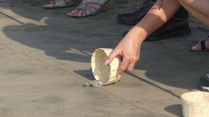 4-hours-shore-excursion-with-cruise-ship-terminal-pick-up