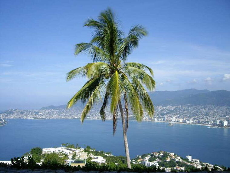 4-hours-shore-excursion-with-cruise-ship-terminal-pick-up