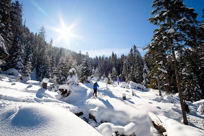 4-hours-skitour-trip-in-tatra-mountains-for-beginners-with-renting-equipment