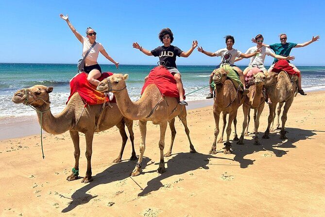 4 Hours Tangier Tour - Final Thoughts
