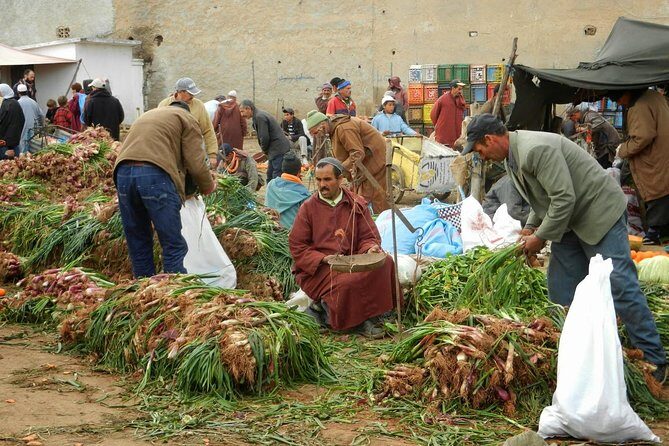 4 hours trekking in the Atlas mountains from Marrakech - Who Is This Tour Best For?