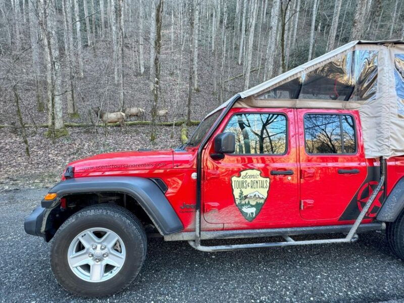 4-hr-guided-safari-jeep-eco-waterfall-adventure