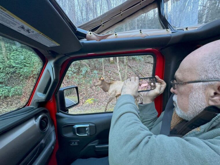 4-hr-guided-safari-jeep-eco-waterfall-adventure