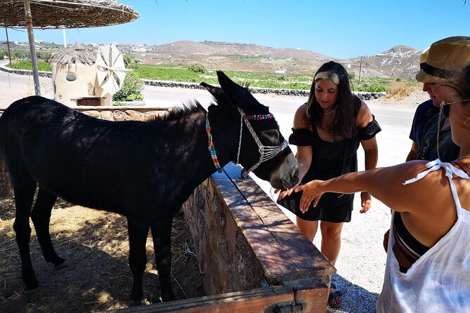 4-hrs-private-island-tour-and-photos-oia-and-blue-domes-n-beach