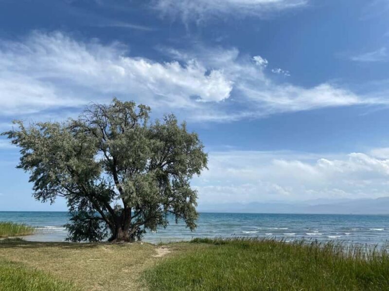 4 in 1 day: Burana tower, Canyons, Issyk-Kul, hot springs - FAQ