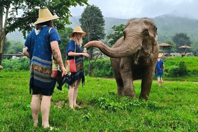 4 in 1 Elephants Long Neck Rafting and Sticky Waterfall Tour - Who Will Love This Tour?
