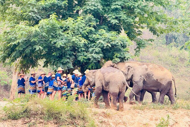 4 in 1 Elephants Long Neck Rafting and Sticky Waterfall Tour - The Sum Up