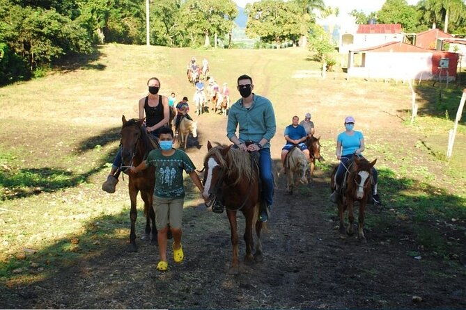 4-in-1-tours-full-day-safari-zipline-buggies-and-horse-riding