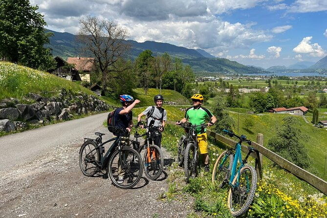 4-lakes-e-bike-guided-tour-and-lake-cruise