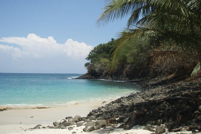 4-person-minimum-to-book-whale-watching-july-15-to-oct-15-in-isla-bolanos