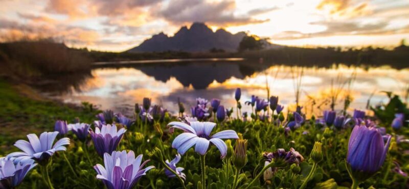 4 Star 5 Days Cape Town Package - Final Thoughts