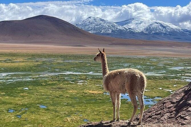 4-tours-in-2-days-in-san-pedro-de-atacama